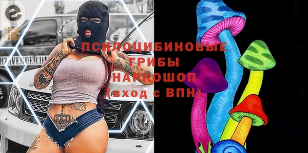 гашик Горняк